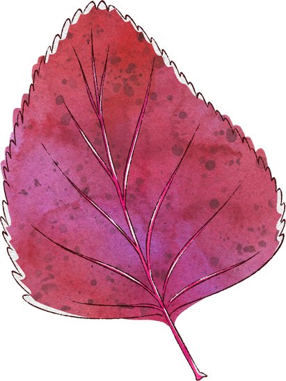 Splotchy Watercolor Fall Purple Birch Leaf