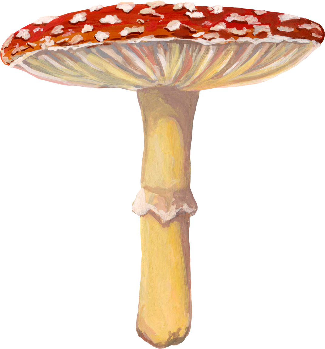Amanita Poisonous Mushroom Gouache Painting